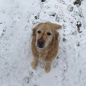 Meet your Posher, Jenn